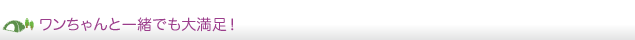 ワンちゃんと一緒でも大満足!