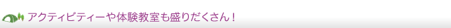 アクティビティーや体験教室も盛りだくさん!